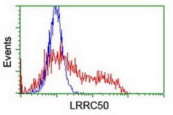 LRRC50 Monoclonal Antibody (OTI3F9), TrueMAB , OriGene:Anticuerpos:Anticuerpos