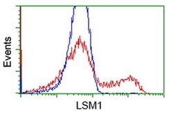 LSM1 Monoclonal Antibody (OTI5C6), TrueMAB , OriGene 30 &mu;L; Unconjugated:Antibodies,