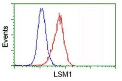 LSM1 Monoclonal Antibody (OTI5C6), TrueMAB , OriGene 30 &mu;L; Unconjugated:Antibodies,