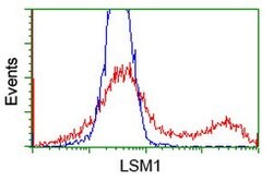 LSM1 Mouse anti-Human, Clone: OTI5E6, lyophilized, TrueMAB 100 &mu;g; Unconjugated:Antibodies,