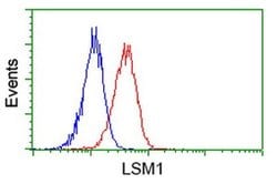 LSM1 Monoclonal Antibody (OTI5E6), TrueMAB , OriGene 100 &mu;L; Unconjugated:Antibodies,