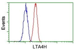 LTA4H Mouse anti-Human, Clone: OTI7D11, liquid, TrueMAB 30 &mu;L | Buy Online | Origene Technologies | Fisher Scientific