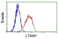 LTA4H Mouse anti-Human, Clone: OTI7D11, liquid, TrueMAB 30 &mu;L | Buy Online | Origene Technologies | Fisher Scientific