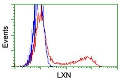 LXN Mouse anti-Human, Clone: OTI1E10, TrueMAB , Origene 30 &mu;L; Unconjugated:Antibodies,