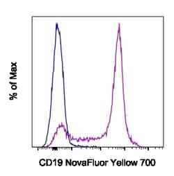 Invitrogen CD19 Monoclonal Antibody (eBio1D3 (1D3)), NovaFluor Yellow 700,
