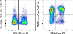 Invitrogen CD62L (L-Selectin) Monoclonal Antibody (MEL-14), NovaFluor Red