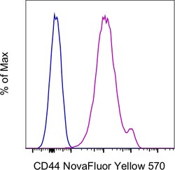 Invitrogen CD44 Monoclonal Antibody (IM7), NovaFluor Yellow 570, eBioscience