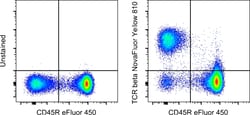 Invitrogen TCR beta Monoclonal Antibody (H57-597), NovaFluor Yellow 810,