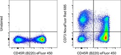 Invitrogen CD73 Monoclonal Antibody (eBioTY/11.8 (TY/11.8)), NovaFluor