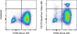 Invitrogen CD170 (Siglec F) Monoclonal Antibody (1RNM44N), NovaFluor Yellow
