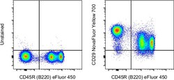 CD29 (Integrin beta 1) Monoclonal Antibody (eBioHMb1-1 (HMb1-1)), NovaFluor
