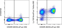 Ly-108 Monoclonal Antibody (eBio13G3-19D (13G3-19D)), NovaFluor Yellow