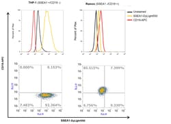 Invitrogen™ SSEA1 Monoclonal Antibody (MC-480), DyLight™ 550