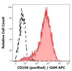 Invitrogen VCAM-1 Monoclonal Antibody (STA) 100 &mu;g; Unconjugated:Antibodies,