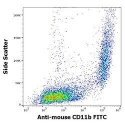 Invitrogen CD11b Monoclonal Antibody (M1/70), FITC 100 &mu;g | Buy Online | Invitrogen&trade; | Fisher Scientific