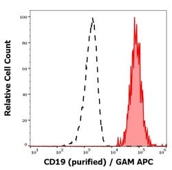 Invitrogen CD19 Monoclonal Antibody (4G7) 100 &mu;g; Unconjugated:Anticorps,