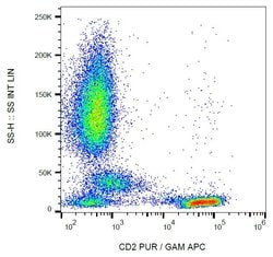 Invitrogen CD2 Monoclonal Antibody (LT2) 100 &mu;g; Unconjugated:Antikörper