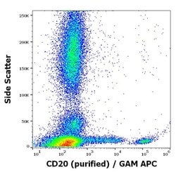 Invitrogen CD20 Monoclonal Antibody (2H7) 100 &mu;g; Unconjugated:Antibodies,