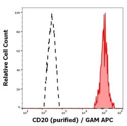 Invitrogen CD20 Monoclonal Antibody (2H7) 100 &mu;g; Unconjugated:Antibodies,