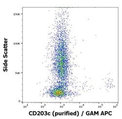 Invitrogen CD203c Monoclonal Antibody (NP4D6) 100 &mu;g; Unconjugated:Antibodies,
