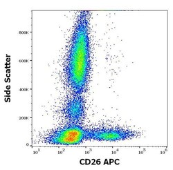 Invitrogen CD26 Monoclonal Antibody (BA5b), APC 100 Tests | Buy Online | Invitrogen&trade; | Fisher Scientific