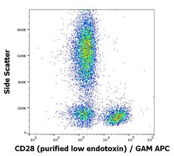 Invitrogen CD28 Monoclonal Antibody (CD28.2) 100 &mu;g; Unconjugated:Antibodies,