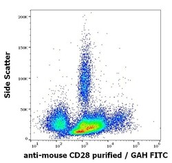 Invitrogen CD28 Monoclonal Antibody (37.51) 100 &mu;g; Unconjugated:Antibodies,