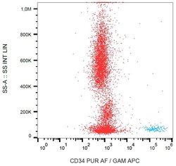 Invitrogen CD34 Monoclonal Antibody (QBEND/10) 100 &mu;g; Unconjugated:Antibodies,