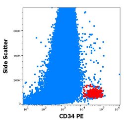 Invitrogen CD34 Monoclonal Antibody (581), PE 100 Tests; PE:Antibodies,