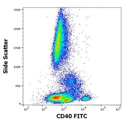 Invitrogen CD40 Monoclonal Antibody (HI40a), FITC 100 Tests; FITC:Antibodies,