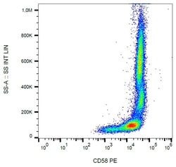 Invitrogen CD58 Monoclonal Antibody (MEM-63), PE 100 Tests; PE:Anticorps,