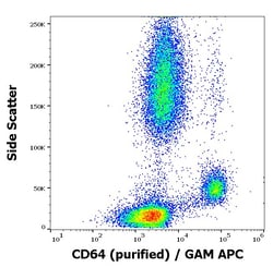 Invitrogen CD64 Monoclonal Antibody (10.1) 100 &mu;g; Unconjugated:Anticuerpos