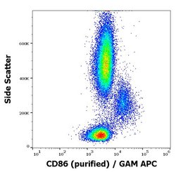 Invitrogen CD86 Monoclonal Antibody (BU63) 100 &mu;g; Unconjugated:Antibodies,