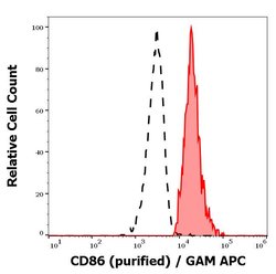 Invitrogen CD86 Monoclonal Antibody (BU63) 100 &mu;g; Unconjugated:Antibodies,