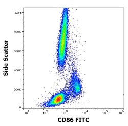 Invitrogen CD86 Monoclonal Antibody (BU63), FITC 100 Tests | Buy Online | Invitrogen&trade; | Fisher Scientific