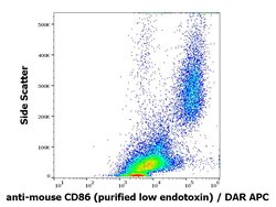 Invitrogen CD86 Monoclonal Antibody (GL-1) 100 &mu;g; Unconjugated:Antibodies,