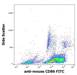 Invitrogen CD86 Monoclonal Antibody (GL-1), FITC 100 &mu;g; FITC:Antibodies,