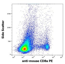 Invitrogen CD8 alpha Monoclonal Antibody (53-6.7), PE 100 &mu;g | Buy Online | Invitrogen&trade; | Fisher Scientific