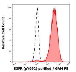 Invitrogen Phospho-EGFR (Tyr1173) Monoclonal Antibody (EM-13) 100 &mu;g;