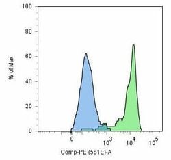Invitrogen&trade;&nbsp;PSMA Monoclonal Antibody (GCP-05)