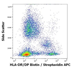 Invitrogen HLA-DR/DP Monoclonal Antibody (MEM-136), Biotin 100 &mu;g | Buy Online | Invitrogen&trade; | Fisher Scientific