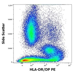 Invitrogen HLA-DR/DP Monoclonal Antibody (MEM-136), PE 100 Tests; PE:Antibodies,