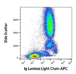 Invitrogen Mouse anti-Human Lambda Light Chain Secondary Antibody, APC