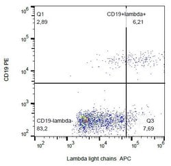 Invitrogen Mouse anti-Human Lambda Light Chain Secondary Antibody, APC
