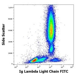 Invitrogen Mouse anti-Human Lambda Light Chain Secondary Antibody, FITC