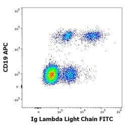 Invitrogen Mouse anti-Human Lambda Light Chain Secondary Antibody, FITC