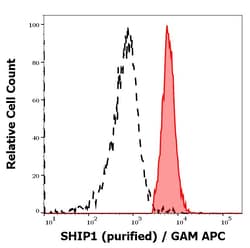 Invitrogen SHIP1 Monoclonal Antibody (SHIP-01) 100 &mu;g; Unconjugated:Anticorps,