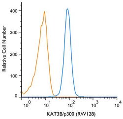 Invitrogen p300 Monoclonal Antibody (RW128) 100 &mu;L; Unconjugated:Antibodies,