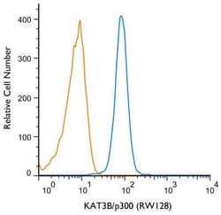 Invitrogen p300 Monoclonal Antibody (RW128) 100 &mu;L | Buy Online | Invitrogen&trade; | Fisher Scientific