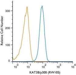 Invitrogen p300 Monoclonal Antibody (RW105) 100 &mu;L; Unconjugated:Antibodies,